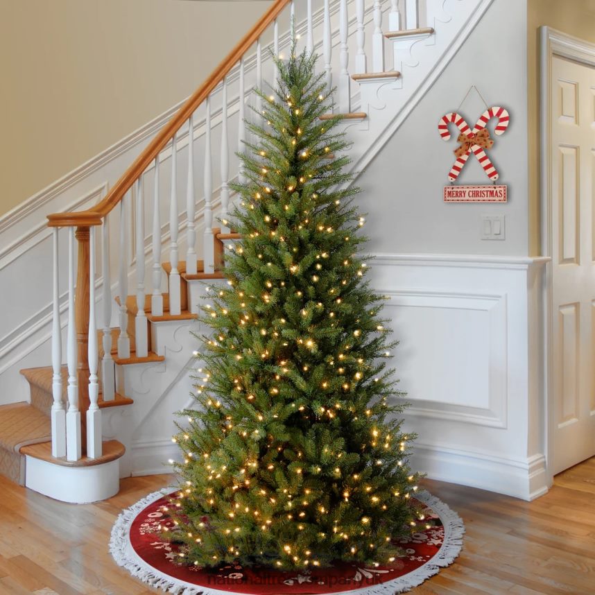 Trees | National Tree Company Pre-Lit Artificial Slim Christmas Tree Green Dunhill Fir White Lights Includes Stand 75 Feet F2L4F44